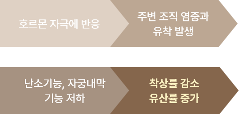 자궁내막증 단계이미지